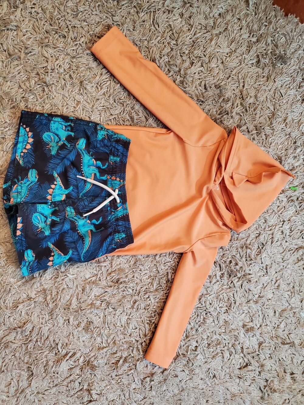 Carter's Orange Hooded Rash Guard with Navy Dino Swim Shorts